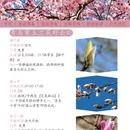 青岛旅游 缩略图 3