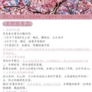 青岛旅游 缩略图 6