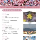 青岛旅游 缩略图 5