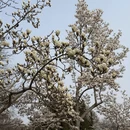 北京旅游 缩略图 7