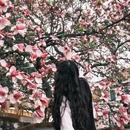 青岛旅游 缩略图 3
