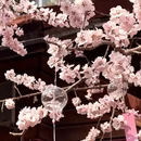 大连旅游 缩略图 10