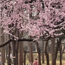 大连旅游 缩略图 11