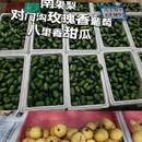 大连旅游 缩略图 2