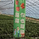 大连旅游 缩略图 10