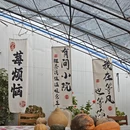 大连旅游 缩略图 15