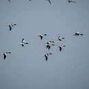 大连旅游 缩略图 15