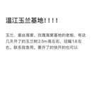 成都旅游 缩略图 1
