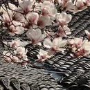 成都旅游 缩略图 16