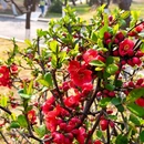 青岛旅游 缩略图 3