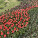 北京旅游 缩略图 1