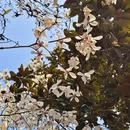 青岛旅游 缩略图 5