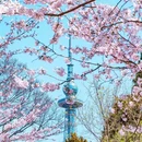 青岛旅游 缩略图 1