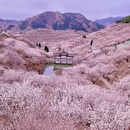 青岛旅游 缩略图 3
