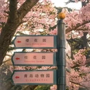 青岛旅游 缩略图 5