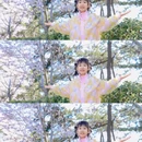 青岛旅游 缩略图 4