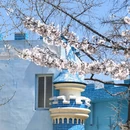 青岛旅游 缩略图 7