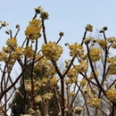 北京旅游 缩略图 6