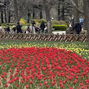青岛旅游 缩略图 2