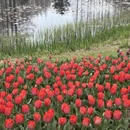 青岛旅游 缩略图 6