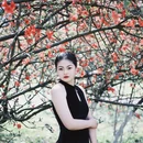 成都旅游 缩略图 5