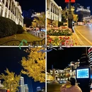 大连旅游 缩略图 16