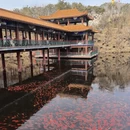 大连旅游 缩略图 1