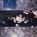 上海旅游 缩略图 1