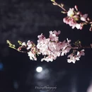 上海旅游 缩略图 2