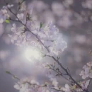 上海旅游 缩略图 3