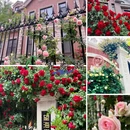 大连旅游 缩略图 17