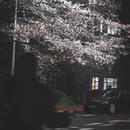 上海旅游 缩略图 10