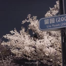 上海旅游 缩略图 6