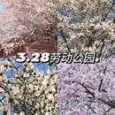 大连旅游 缩略图 1