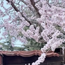 大连旅游 缩略图 7