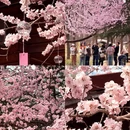 大连旅游 缩略图 1
