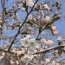青岛旅游 缩略图 9