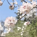 青岛旅游 缩略图 7