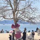 青岛旅游 缩略图 6