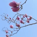 青岛旅游 缩略图 4