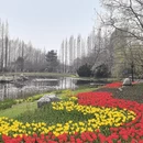 青岛旅游 缩略图 3