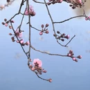 青岛旅游 缩略图 8