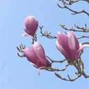 青岛旅游 缩略图 5
