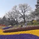 青岛旅游 缩略图 12