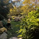青岛旅游 缩略图 1