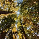 青岛旅游 缩略图 4