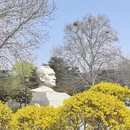 青岛旅游 缩略图 10