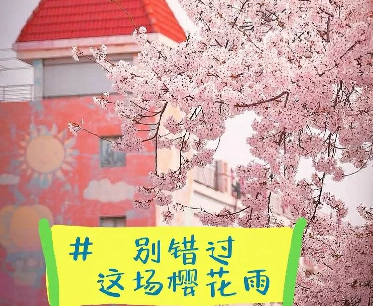 青岛旅游 1