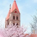 青岛旅游 缩略图 3
