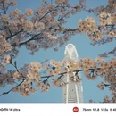 天津旅游 缩略图 2
